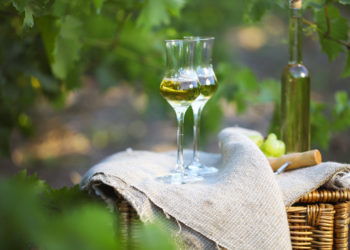 Bottle of liquor or  grappa and glasses with bunch of grapes against green background of the vineyard