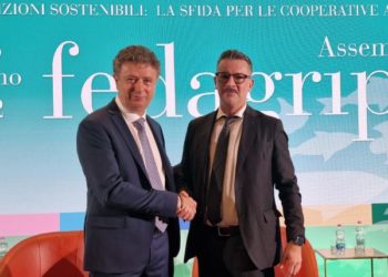 Carlo Piccinini, Confcooperative FedAgriPesca