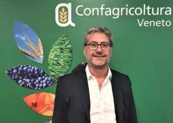 Massimo Chiarelli, direttore Confagricoltura Veneto