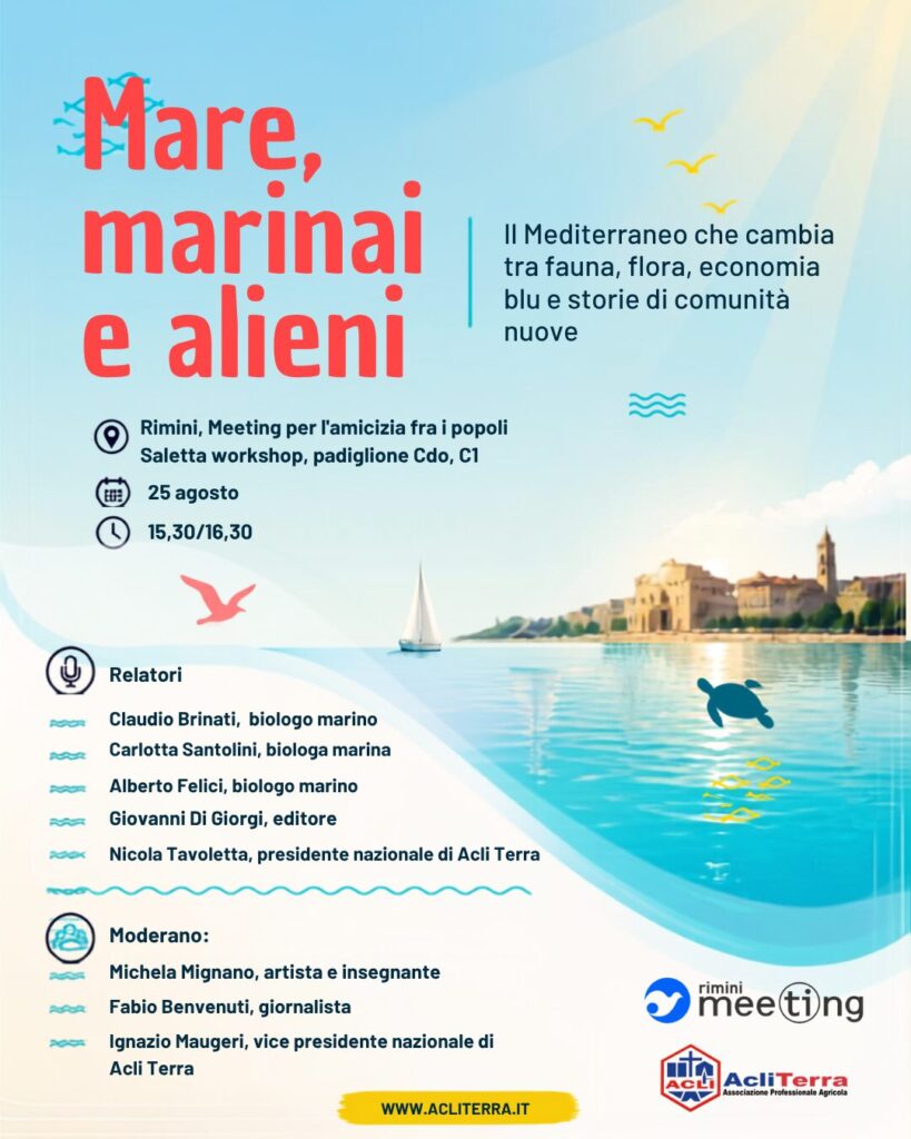 Locandina Meeting Mare Rimini