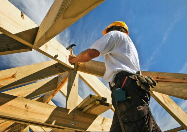Eco Legno